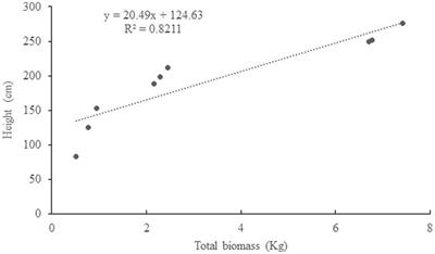 Low-cost small-scale irrigation for developing an agroforestry system in the semi-arid zone of Niger: case of the apple of the Sahel (Ziziphus mauritiana L.)